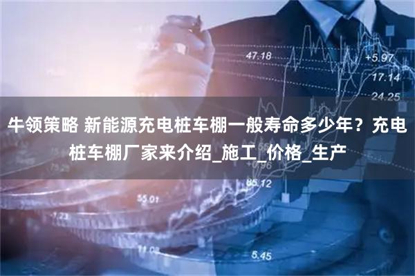 牛领策略 新能源充电桩车棚一般寿命多少年?充电桩车棚厂家来介绍_施工_价格_生产