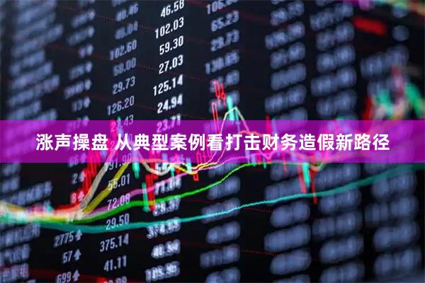 涨声操盘 从典型案例看打击财务造假新路径