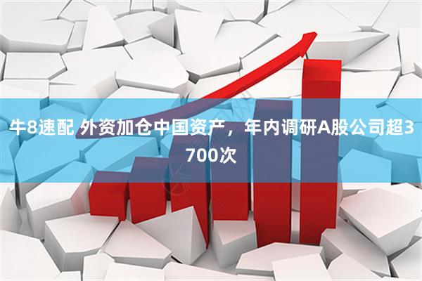 牛8速配 外资加仓中国资产，年内调研A股公司超3700次
